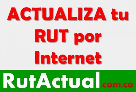 actualizar rut en linea