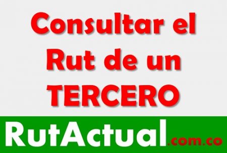 consulta estado rut muisca