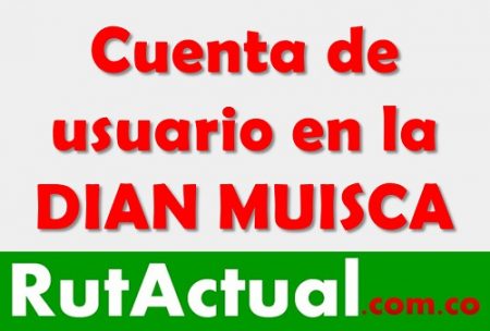 usuario nuevo dian muisca